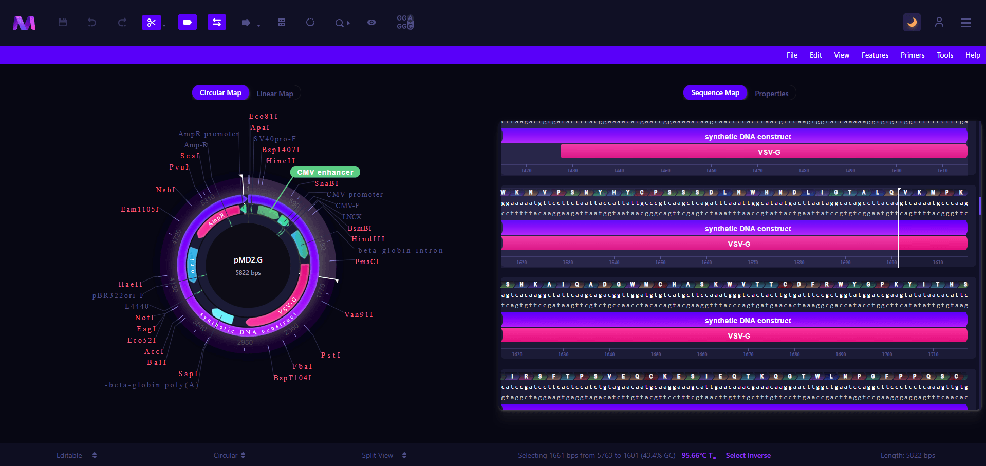 Plasmid Design